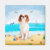 Cavalier King Dog op strand Magneet (Voorkant)