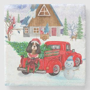 Cavalier King hond in kerstbezorgtruck sneeuw Stenen Onderzetter