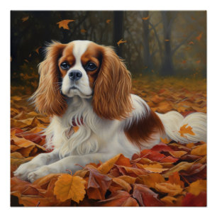 Cavalier King in de herfst laat Herfst inspireren Perfect Poster