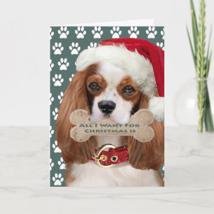 Cavalier Koning Charles kust voor Kerstmis Feestdagen Kaart