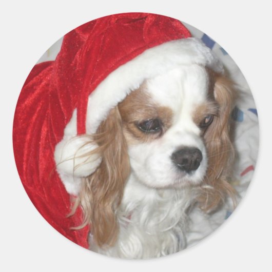 CAVALIER KONING CHARLES SPANIEL HOND MET KERSTMUTS RONDE STICKER (Voorkant)