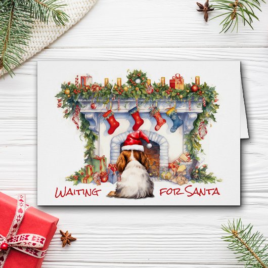 Cavalier Le roi Charles Espagnol attend Père Noël