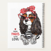 Cavalier Le Roi Charles Spaniel De Paris Avec Amou (Dos)