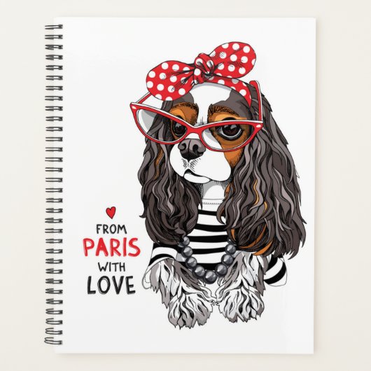 Cavalier Le Roi Charles Spaniel De Paris Avec Amou (Devant)
