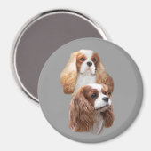 Cavalier  meisjes magneet (Voorkant / Achterkant)