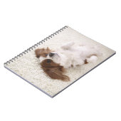 Cavalier met buik notitieboek (Linkerzijde)