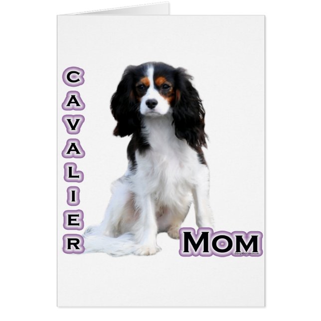 Cavalier Moeder 4 (Voorkant)