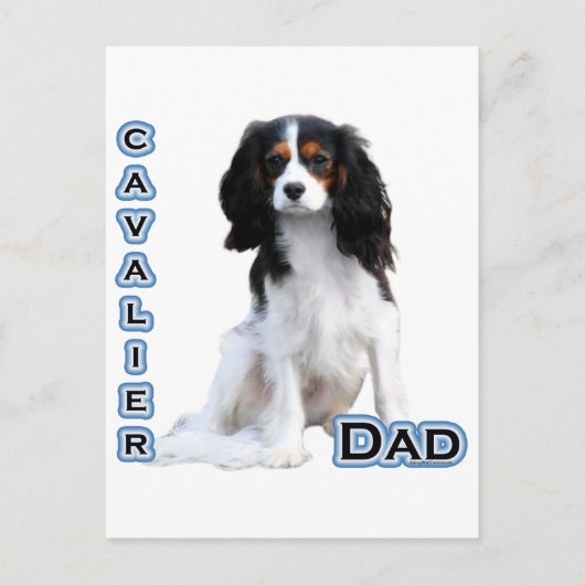Cavalier Pap 4 Briefkaart (Voorkant)