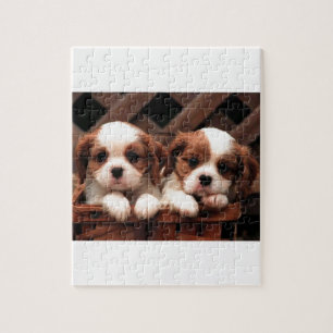 Cavalier-Puppies Legpuzzel