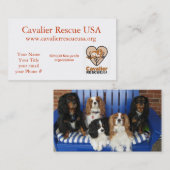 Cavalier Rescue dogs op de bank Visitekaartje (Voorkant / Achterkant)