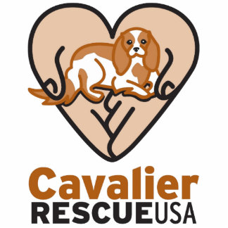 Cavalier Rescue USA Logo Staand Fotobeeldje