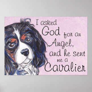 cavalier roi charles spaniel tricolor affiche