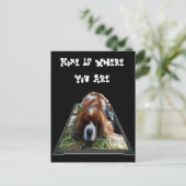 Cavalier Spaniel, Briefkaart (Staand voorkant)