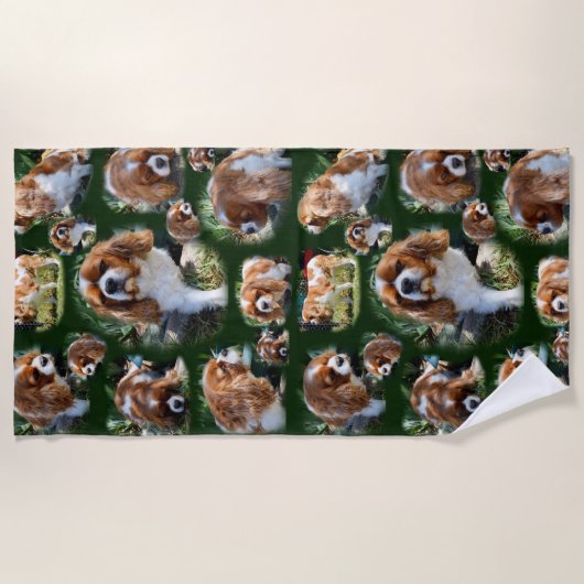 Cavalier Spaniel Collarge, Serviette de plage (Devant)