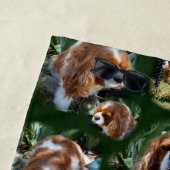 Cavalier Spaniel Collarge, Serviette de plage (En situation)