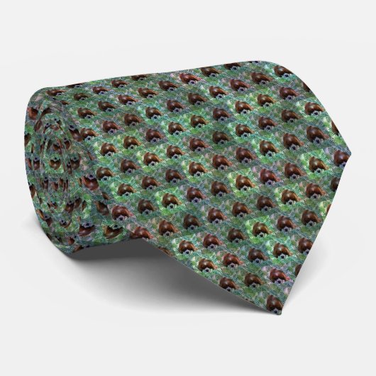 Cavalier Spaniel en Ferns Pattern Stropdas (Opgerold)