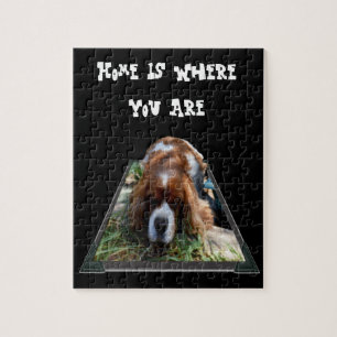 Cavalier Spaniel, Jigsaw Puzzle
