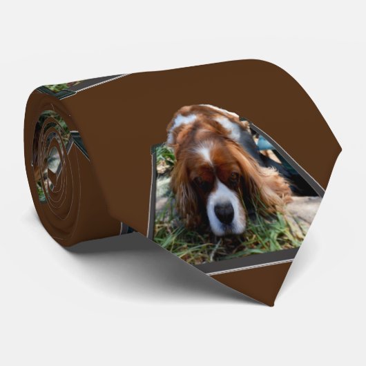 Cavalier Spaniel Popout Art, Cravate (Roulé)