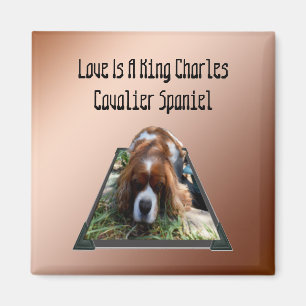 Cavalier Spaniel Popout Art, Fridge Magnet Magneet