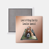 Cavalier Spaniel Popout Art, Frigo Magnet (Recto/Verso)