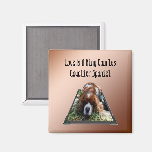 Cavalier Spaniel Popout Art, Frigo Magnet (Recto/Verso)
