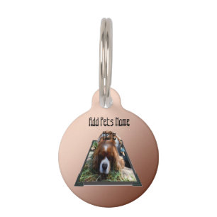 Cavalier Spaniel Popout Kunst, Huisdierpenning