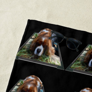 Cavalier Spaniel Popout, serviette de plage