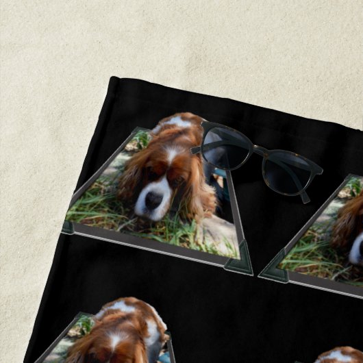 Cavalier Spaniel Popout, serviette de plage (En situation)