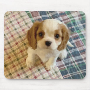 Cavalier Spaniel Puppy Mousepad Muismat