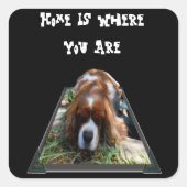 Cavalier Spaniel, Stickers Carrés (Devant)