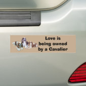 Cavalier Threous Bumpersticker (Op auto)