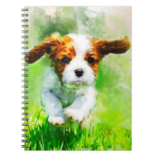 Cavalier waterverf 1 notitieboek