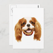 CavalierKingCharlesSpaniel_Epagneul face002 Briefkaart (Voorkant / Achterkant)