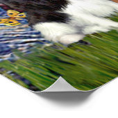 Cavaliers (4) - Sterrennacht Poster (Hoek)