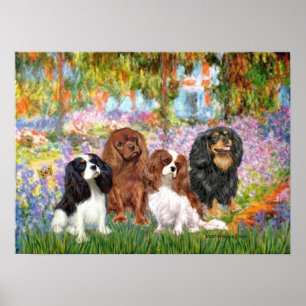 Cavaliers (4) - Tuin Poster