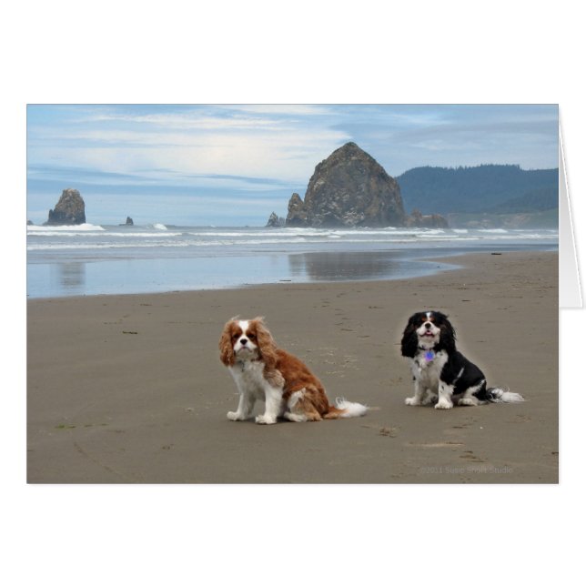 Cavaliers @ Cannon Beach, Oregon (Devant horizontal)