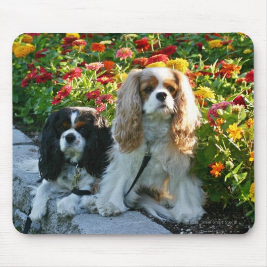 Cavaliers en Zinnias Mousepad Muismat (Voorkant)