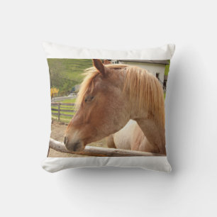Cavallo dalla criniera dorata Coussin photograph