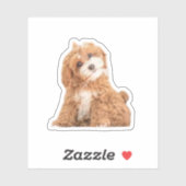 Cavapoo Cavoodle Cockerpoo Puppy Designer hond Sticker (Vel)