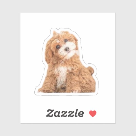 Cavapoo Cavoodle Cockerpoo Puppy Designer hond Sticker (Vel)