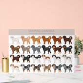 Cavapoo, Cavoodle hondenmix Acryl Bord (Huwelijk)