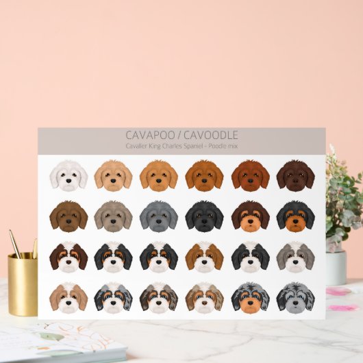 Cavapoo, Cavoodle hondenmix Acryl Bord (Huwelijk)