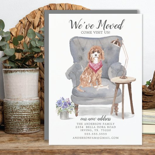 Cavapoo Dog | Verplaatsingsaankondiging Aankondiging