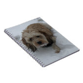 Cavapoo notitieboek (Rechterzijde)