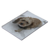 Cavapoo notitieboek (Linkerzijde)