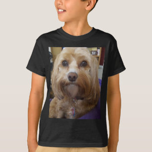 Cavapoo- of Cavadoedle-producten T-shirt