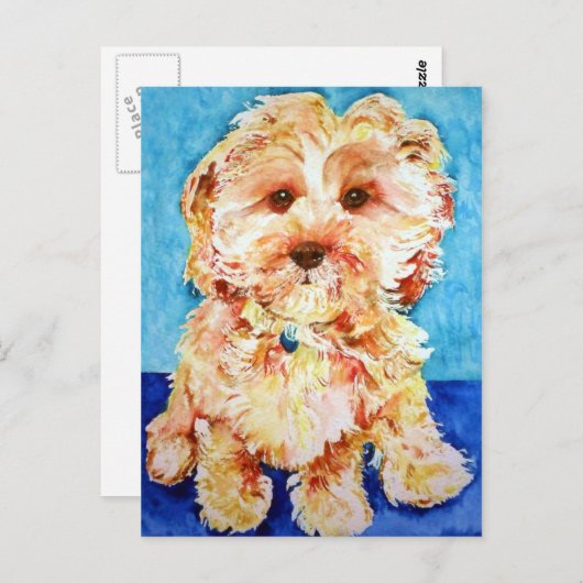 Cavapoo "Ollie". Briefkaart (Voorkant / Achterkant)