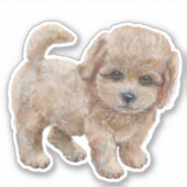 Cavapoo Puppy Cartoon Dog Sticker (Voorkant)