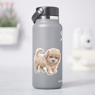Cavapoo Puppy Cartoon Dog Sticker