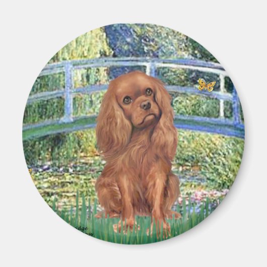 Cavavlier (Ruby7) - Bridge Magneet (Voorkant)